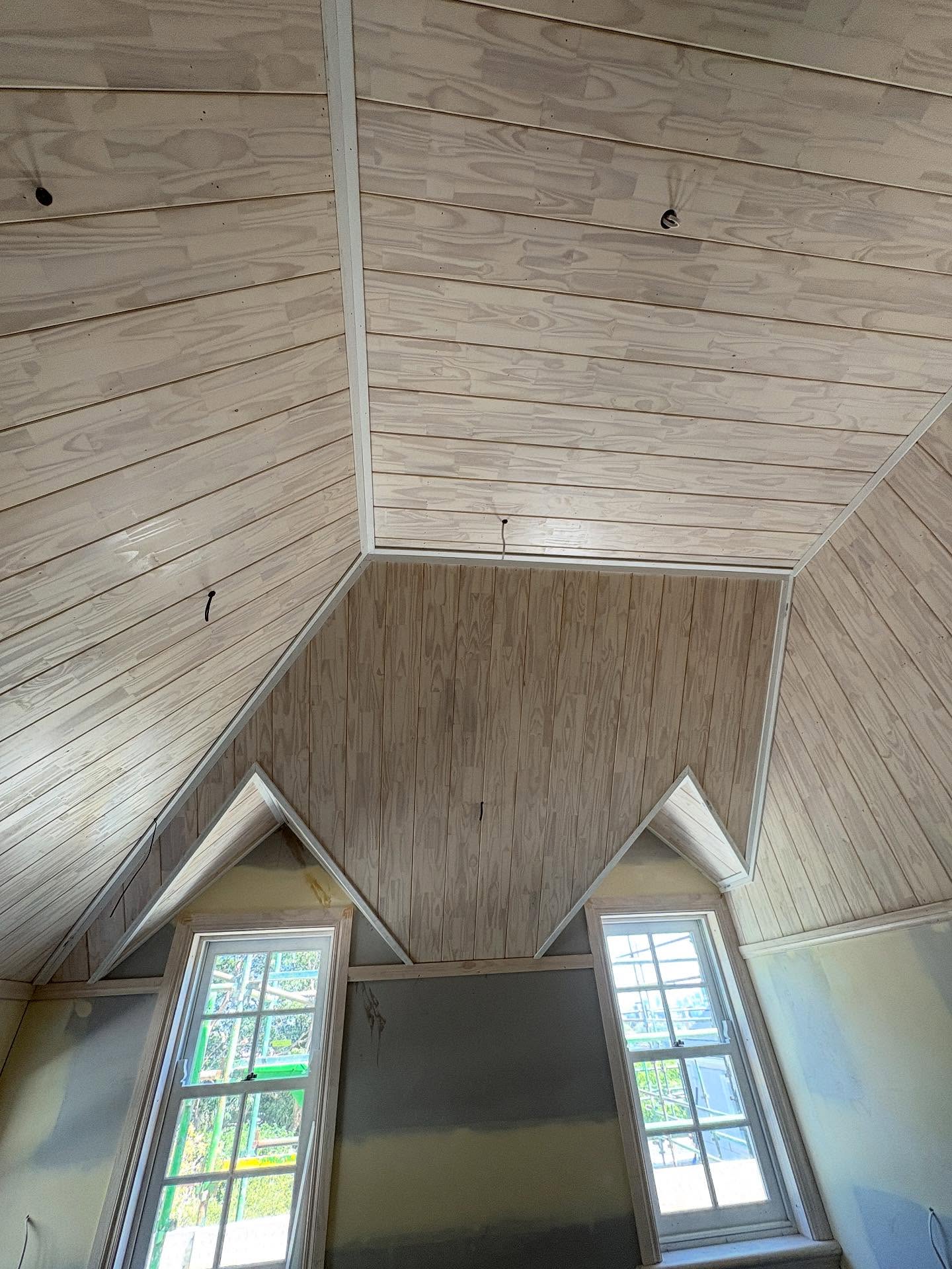 Feature Ceilings & Linings